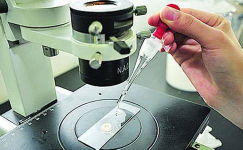 二維色譜、基因測序儀等儀器項目獲豫科技發(fā)展專項資金支持